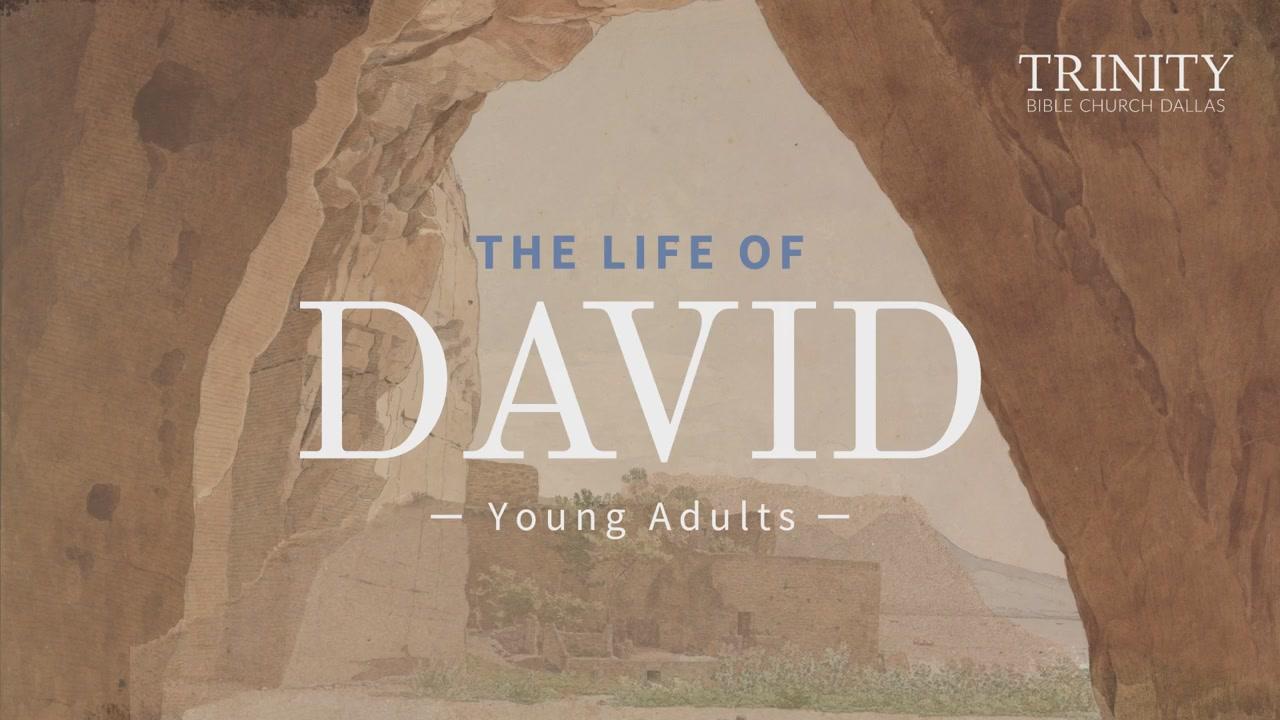 David’s Response to the Liar and the Lunatic